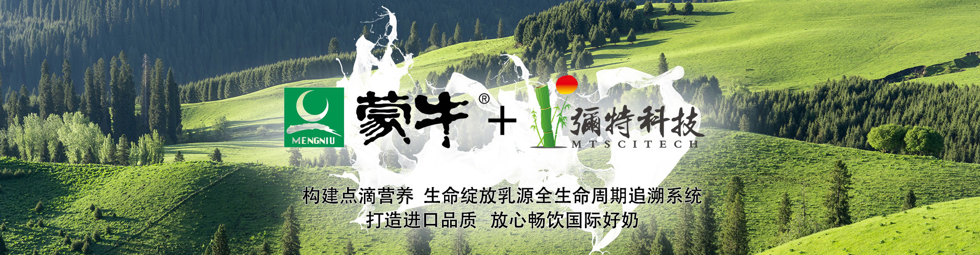 追溯系統