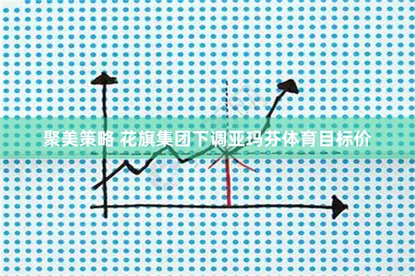 聚美策略 花旗集团下调亚玛芬体育目标价