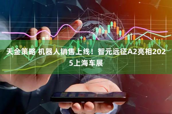天金策略 机器人销售上线！智元远征A2亮相2025上海车展