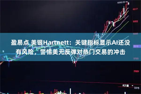 盈易点 美银Hartnett：关键指标显示AI还没有风险，警惕美元反弹对热门交易的冲击