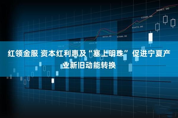 红领金服 资本红利惠及“塞上明珠” 促进宁夏产业新旧动能转换