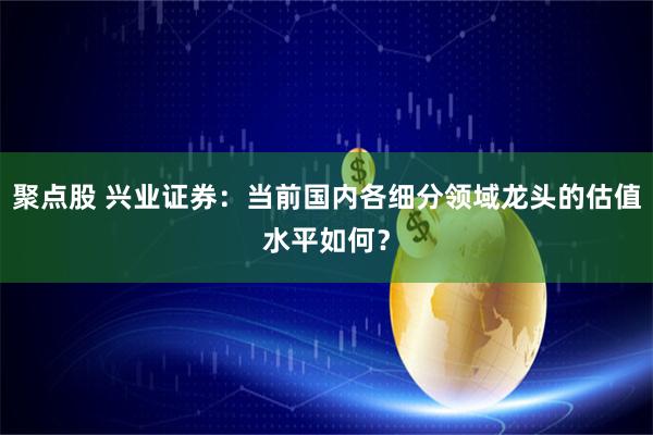 聚点股 兴业证券：当前国内各细分领域龙头的估值水平如何？